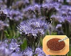 Gründüngung phacelia bienenw gebraucht kaufen  Wird an jeden Ort in Deutschland