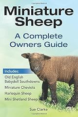 Miniature sheep complete for sale  Delivered anywhere in USA 