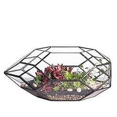 Ncyp terrarium géométrique d'occasion  Livré partout en France