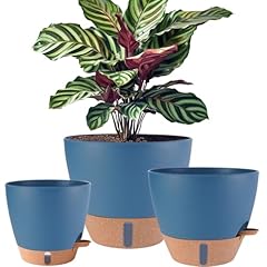 Inch plant pots for sale  Delivered anywhere in USA 
