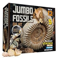 Groß fossilien ausgrabungsset gebraucht kaufen  Wird an jeden Ort in Deutschland