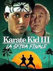 Karate kid iii usato  Spedito ovunque in Italia 