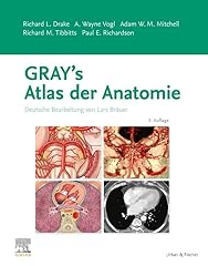 Gray atlas anatomie gebraucht kaufen  Wird an jeden Ort in Deutschland