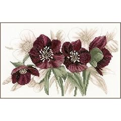 Lanarte hellebores cross for sale  Delivered anywhere in UK