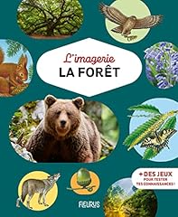 Forêt d'occasion  Livré partout en Belgiqu