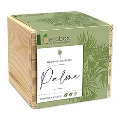 Feel green create usato  Spedito ovunque in Italia 