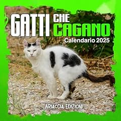 Gatti che cagano usato  Spedito ovunque in Italia 