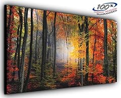 Mystical forest panoramic for sale  Delivered anywhere in UK