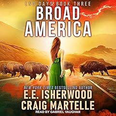 Broad america end for sale  Delivered anywhere in UK