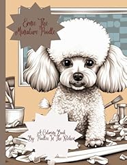 Ernie mini poodle for sale  Delivered anywhere in UK