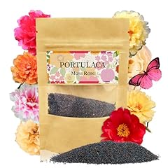Portulaca grandiflora moss for sale  Delivered anywhere in USA 