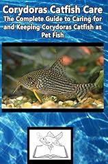 Corydoras catfish care for sale  Delivered anywhere in UK