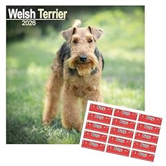 Welsh terrier calendar for sale  Delivered anywhere in UK