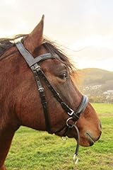 Pferdeartikel weiche gebisslos gebraucht kaufen  Wird an jeden Ort in Deutschland
