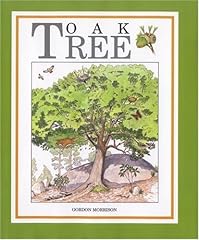 Oak tree for sale  Delivered anywhere in USA 
