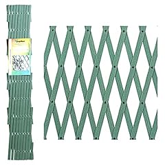 Papillon celosia pvc usato  Spedito ovunque in Italia 