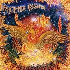 Phoenix rising gebraucht kaufen  Wird an jeden Ort in Deutschland