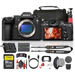 Sony alpha mirrorless for sale  Delivered anywhere in USA 