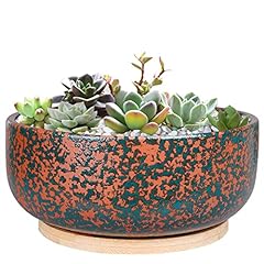 Epgardening inch terracotta for sale  Delivered anywhere in USA 