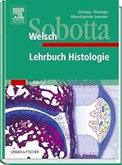 Sobotta lehrbuch histologie gebraucht kaufen  Wird an jeden Ort in Deutschland