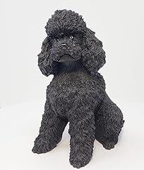 Conversation concepts black for sale  Delivered anywhere in USA 