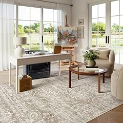Lahome 4x6 area for sale  Delivered anywhere in USA 