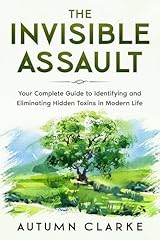 The invisible assault usato  Spedito ovunque in Italia 