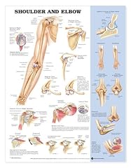 Shoulder elbow for sale  Delivered anywhere in UK