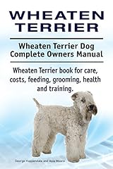 Wheaten terrier. wheaten for sale  Delivered anywhere in UK