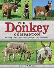 Donkey companion selecting for sale  Delivered anywhere in USA 