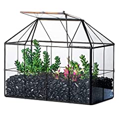 Ncyp glass terrarium for sale  Delivered anywhere in USA 