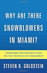 Snowblowers miami transform for sale  Delivered anywhere in USA 