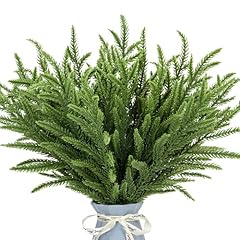24pcs norfolk pine for sale  Delivered anywhere in USA 
