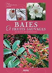 Baies fruits sauvages d'occasion  Livré partout en France