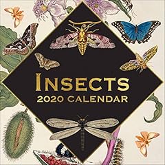 broche insecte d'occasion broche insecte d'occasion Livré partout en France
