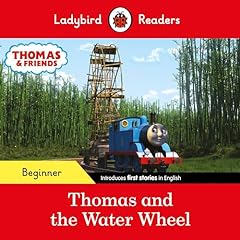 Ladybird readers beginner for sale  Delivered anywhere in Ireland