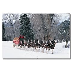 Clydesdales snowing forest for sale  Delivered anywhere in USA 