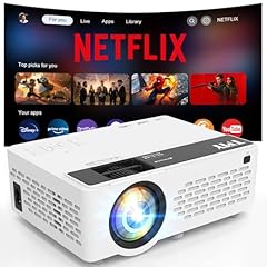 Netflix officially licensed for sale  Delivered anywhere in USA 