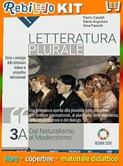Letteratura plurale vol. usato  Spedito ovunque in Italia 