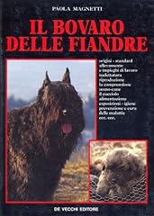 Bovaro delle fiandre usato  Spedito ovunque in Italia 