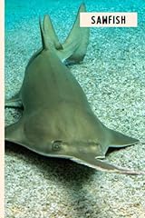 Sawfish perfect sawfish for sale  Delivered anywhere in USA 