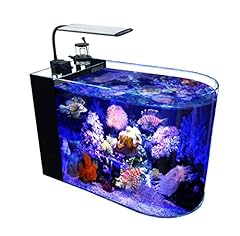 Gankpike gallon saltwater for sale  Delivered anywhere in USA 