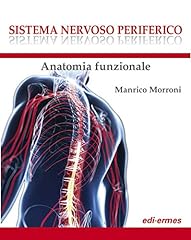 Sistema nervoso periferico. usato  Spedito ovunque in Italia 