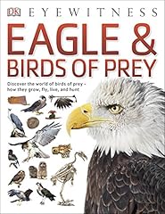 Eagle birds prey for sale  Delivered anywhere in UK