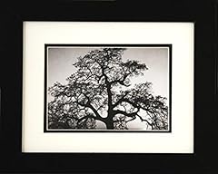 Professionally framed oak for sale  Delivered anywhere in USA 