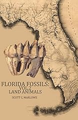 Florida fossils land for sale  Delivered anywhere in USA 