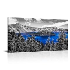 Sechars large size for sale  Delivered anywhere in USA 