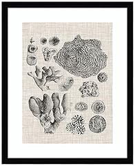 Amanti art framed for sale  Delivered anywhere in USA 