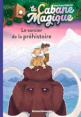 Sorcier préhistoire d'occasion  Livré partout en Belgiqu