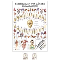 Ruediger anatomie mipo75lam gebraucht kaufen  Wird an jeden Ort in Deutschland